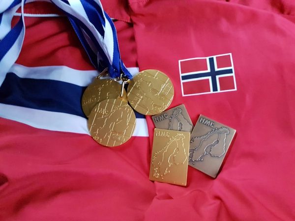 Gull i Militært Nordisk, Säkylä Finland, Feltpistol